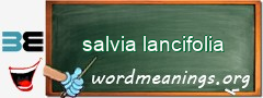 WordMeaning blackboard for salvia lancifolia